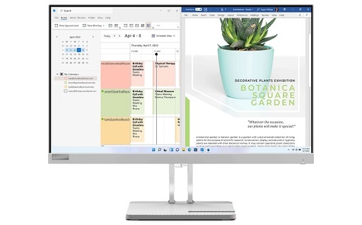Ecran Ordinateur Lenovo L24E-40 23.8 pouces